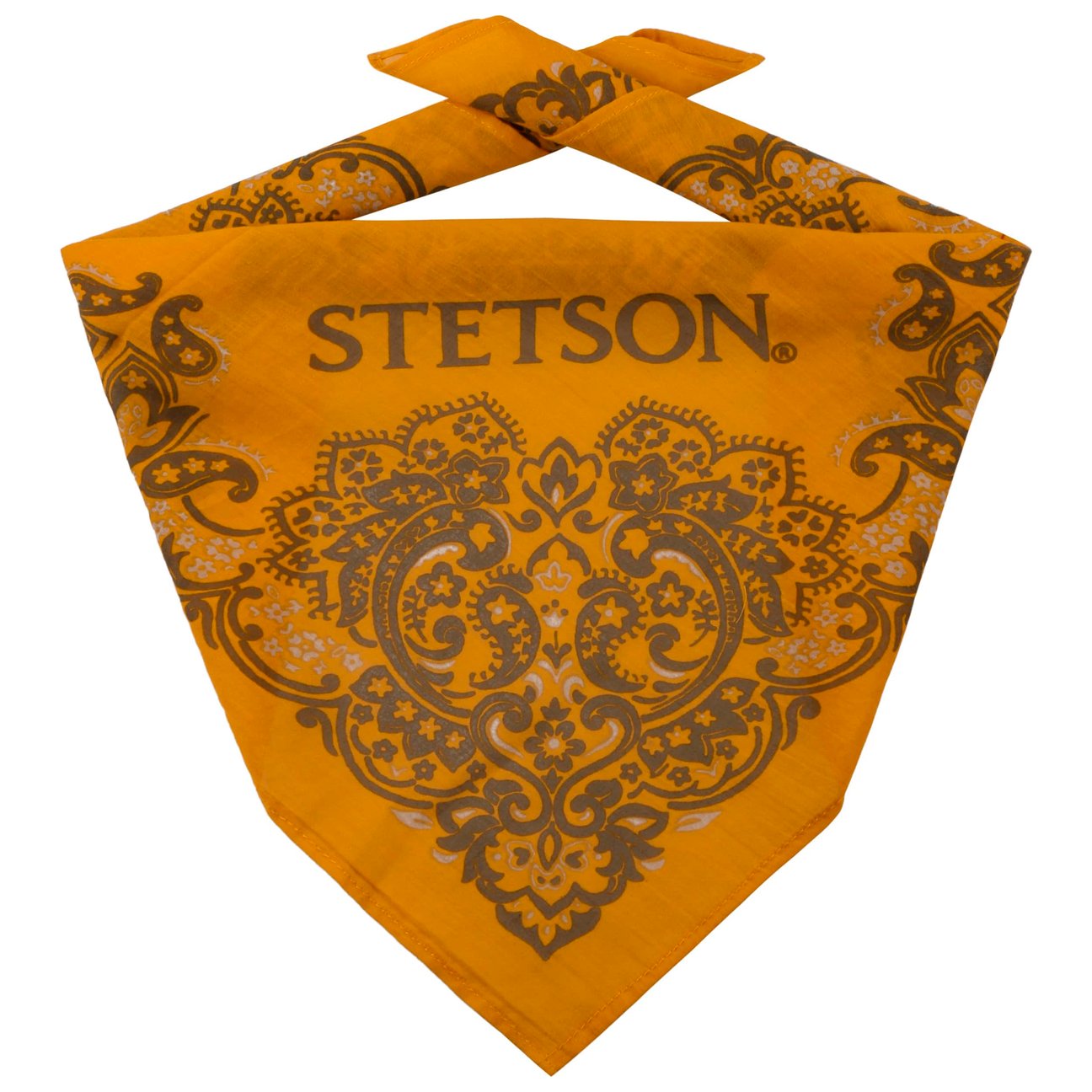 Stetson Women's Yellow Paisley Bandana By