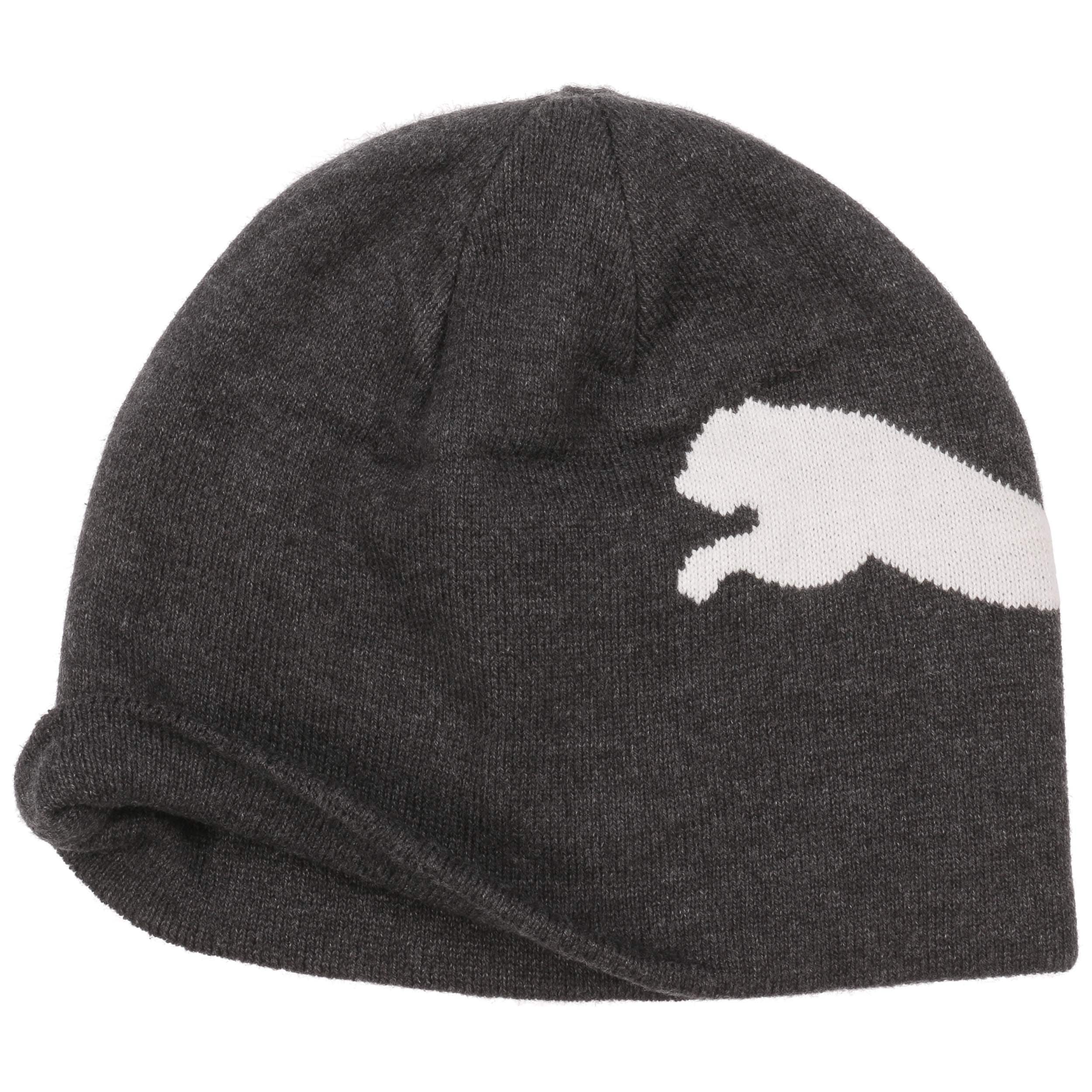 Big Cat Beanie by PUMA - £15.95