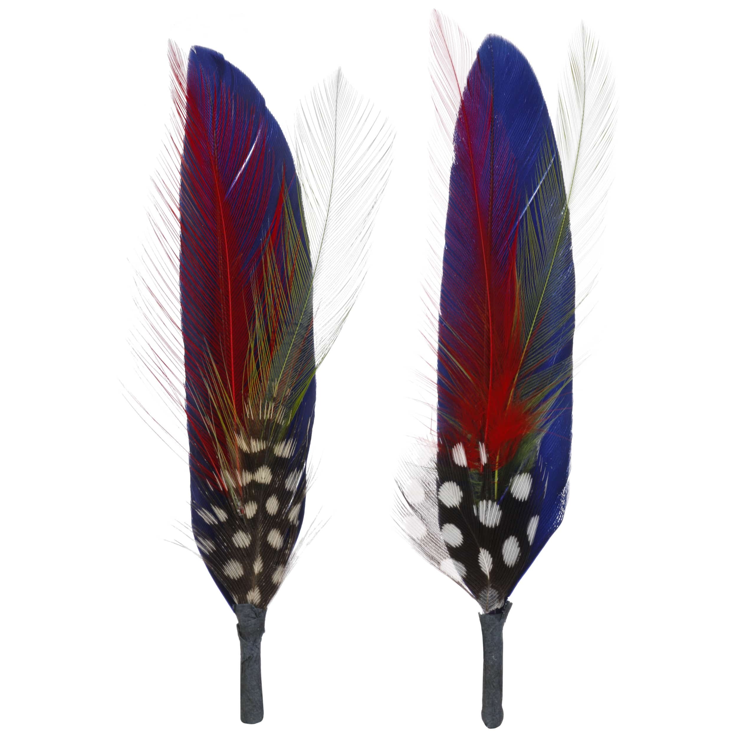 Set of 2 Feathers by Stetson 1,95