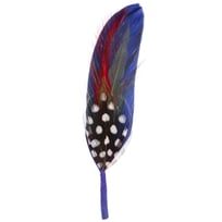 Hat Feather by Stetson - &pound;1.99