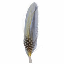 Hat Feather by Stetson - &pound;1.99