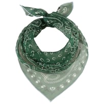 Paisley Silk Scarf by Fraas - &pound;34.95