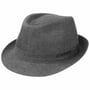 Geneva Linen Trilby by Stetson grey