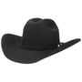 The Valley 4X Buffalo Western Hat by Stetson black
