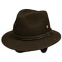 Dale Trekking Wool Hat by Mayser brown