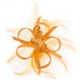 Clip Fascinator by McBURN mustard