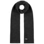 Lasuna Cashmere Scarf by Seeberger anthracite