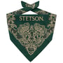 Paisley Bandana by Stetson dark green