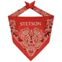 Paisley Bandana by Stetson red