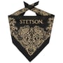 Paisley Bandana by Stetson black