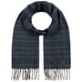 Torsten Cashmink Checked Scarf by Fraas blue