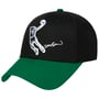 Highlight Real Snapback Cap by Mitchell & Ness black-green