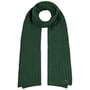 Sergnano Cashmere Scarf by Stetson green