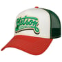 Lettering Trucker Cap by Stetson green