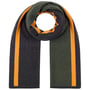 Merino Stripes Wool Scarf by Stetson anthracite-green