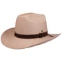 Tortilla Western Panama Hat by Lierys light brown