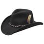 Amasa VitaFelt Western Hat by Stetson black