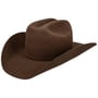 Lightning 4X Wool Western Hat by Bailey 1922 brown