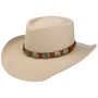 Ellsworth Teardrop Western Hat by Bailey 1922 oatmeal