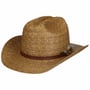 Palm Braid Western Hat by Stetson light brown
