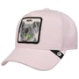 Terry Cloth Koala Cap by Goorin Bros. rose