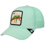 Terry Cloth Iguana Cap by Goorin Bros. mint green