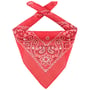Bandana Headscarf by Lipodo coral