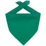 Bandana Goal dark green