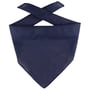 Bandana Goal navy