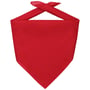 Bandana Goal red