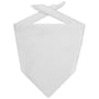 Bandana Goal white
